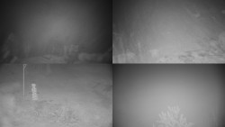 Sdružený snímek okolí chaty Myslivna