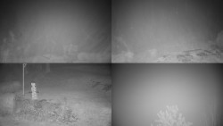 Sdružený snímek okolí chaty Myslivna