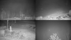 Sdružený snímek okolí chaty Myslivna