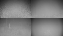 Sdružený snímek okolí chaty Myslivna