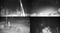 Sdružený snímek okolí chaty Myslivna