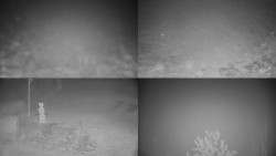 Sdružený snímek okolí chaty Myslivna