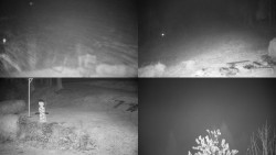 Sdružený snímek okolí chaty Myslivna