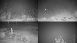 Sdružený snímek okolí chaty Myslivna