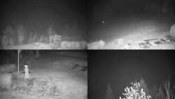 Sdružený snímek okolí chaty Myslivna