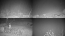 Sdružený snímek okolí chaty Myslivna