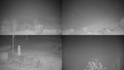 Sdružený snímek okolí chaty Myslivna