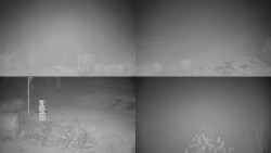 Sdružený snímek okolí chaty Myslivna