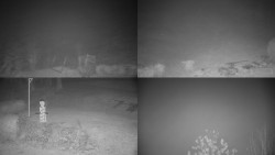 Sdružený snímek okolí chaty Myslivna