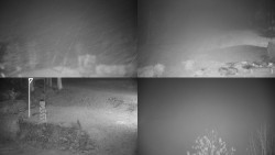 Sdružený snímek okolí chaty Myslivna