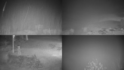 Sdružený snímek okolí chaty Myslivna