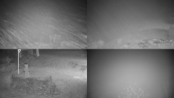 Sdružený snímek okolí chaty Myslivna