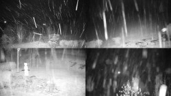 Sdružený snímek okolí chaty Myslivna