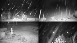 Sdružený snímek okolí chaty Myslivna