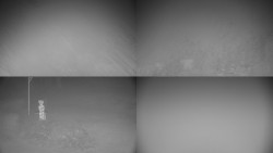 Sdružený snímek okolí chaty Myslivna