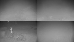 Sdružený snímek okolí chaty Myslivna