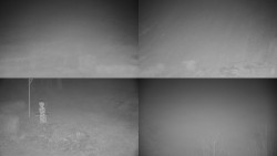 Sdružený snímek okolí chaty Myslivna