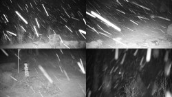 Sdružený snímek okolí chaty Myslivna