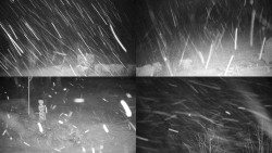 Sdružený snímek okolí chaty Myslivna