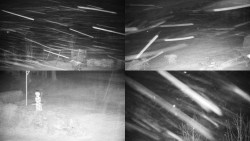 Sdružený snímek okolí chaty Myslivna