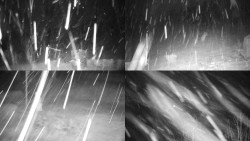 Sdružený snímek okolí chaty Myslivna