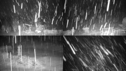 Sdružený snímek okolí chaty Myslivna