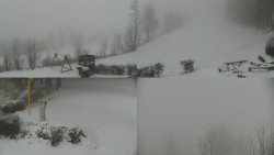 Sdružený snímek okolí chaty Myslivna