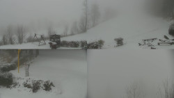 Sdružený snímek okolí chaty Myslivna