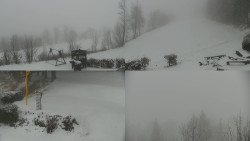 Sdružený snímek okolí chaty Myslivna