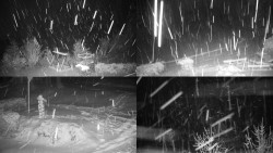 Sdružený snímek okolí chaty Myslivna