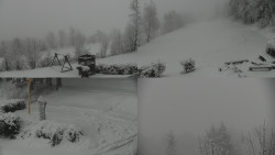 Sdružený snímek okolí chaty Myslivna