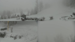 Sdružený snímek okolí chaty Myslivna