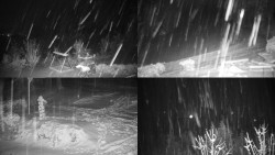 Sdružený snímek okolí chaty Myslivna