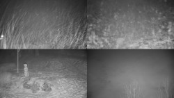 Sdružený snímek okolí chaty Myslivna