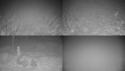 Sdružený snímek okolí chaty Myslivna