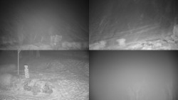 Sdružený snímek okolí chaty Myslivna