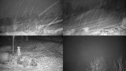 Sdružený snímek okolí chaty Myslivna