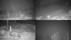 Sdružený snímek okolí chaty Myslivna