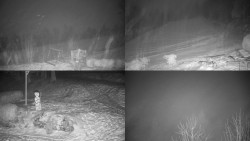 Sdružený snímek okolí chaty Myslivna