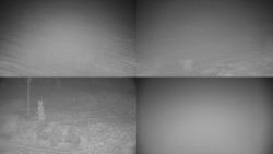 Sdružený snímek okolí chaty Myslivna