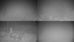 Sdružený snímek okolí chaty Myslivna