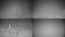 Sdružený snímek okolí chaty Myslivna