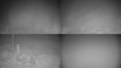 Sdružený snímek okolí chaty Myslivna