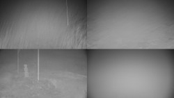 Sdružený snímek okolí chaty Myslivna