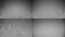 Sdružený snímek okolí chaty Myslivna