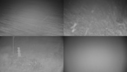 Sdružený snímek okolí chaty Myslivna