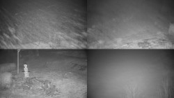 Sdružený snímek okolí chaty Myslivna