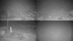 Sdružený snímek okolí chaty Myslivna