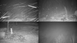 Sdružený snímek okolí chaty Myslivna