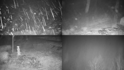 Sdružený snímek okolí chaty Myslivna